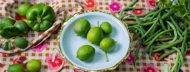 מיכל לוריא (Better In Person) ל־Moxie. צילומים: שלי בראון