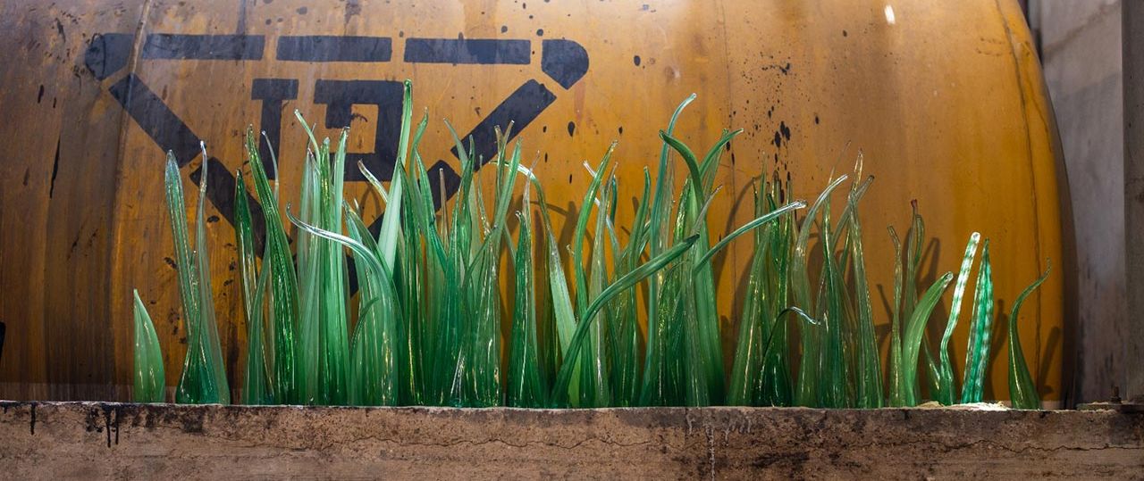 נעה למדן, זומו נהריה. צילומים: יאיר מיוחס