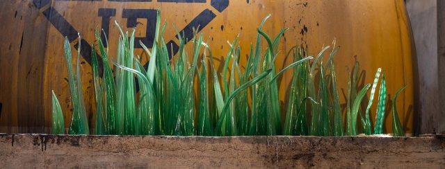 נעה למדן, זומו נהריה. צילומים: יאיר מיוחס