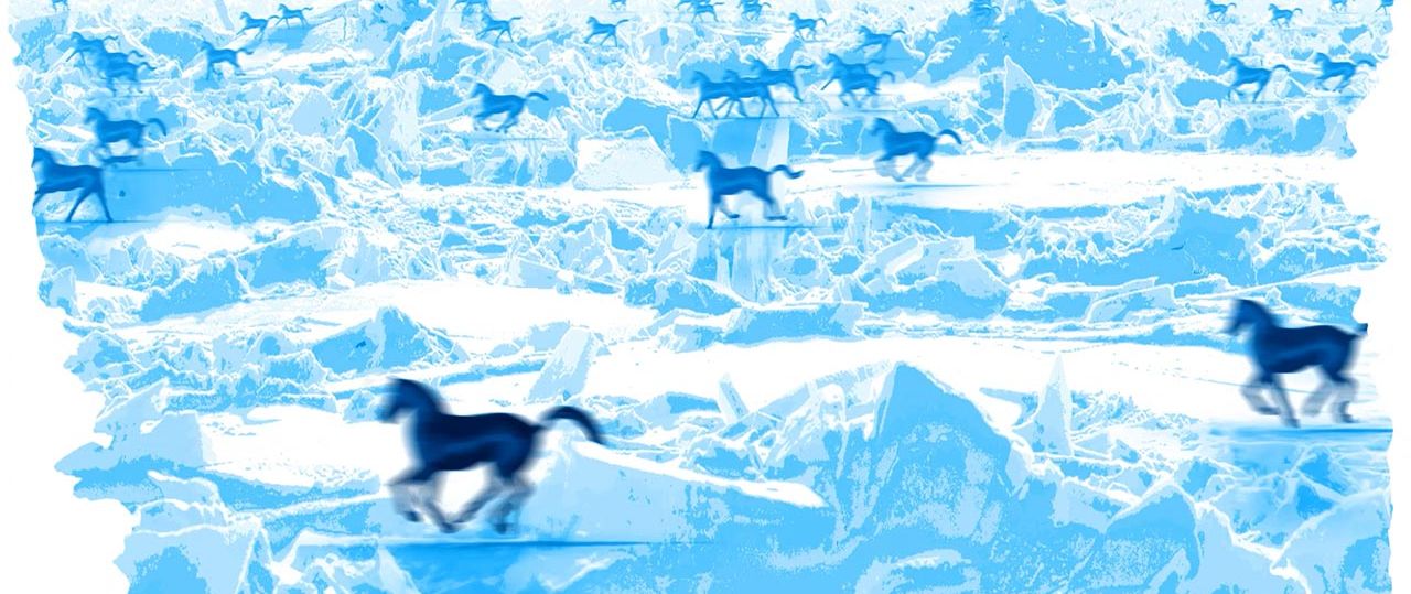 RUN, רונית קרת. צילומים: מ״ל