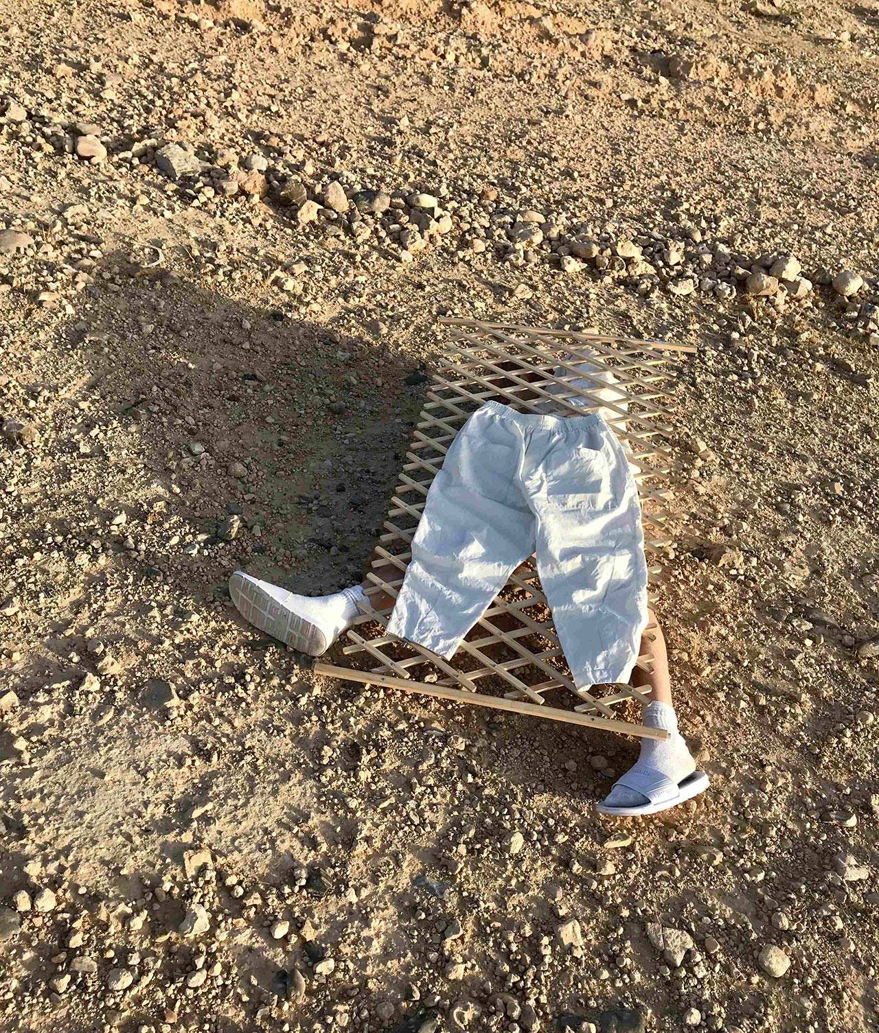 האחים מוסלין, עקבות, מתוך הסדרה התערבויות פרא