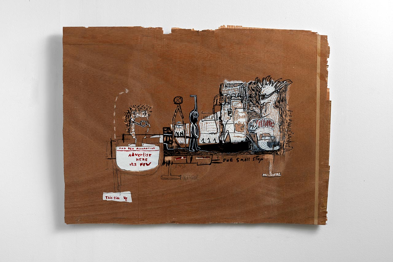 טלי אלמליח, intro. צילום: טל נסים