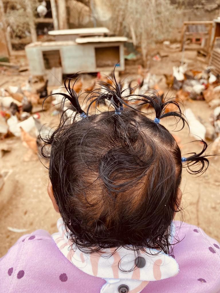 סג׳א אבו גריביע