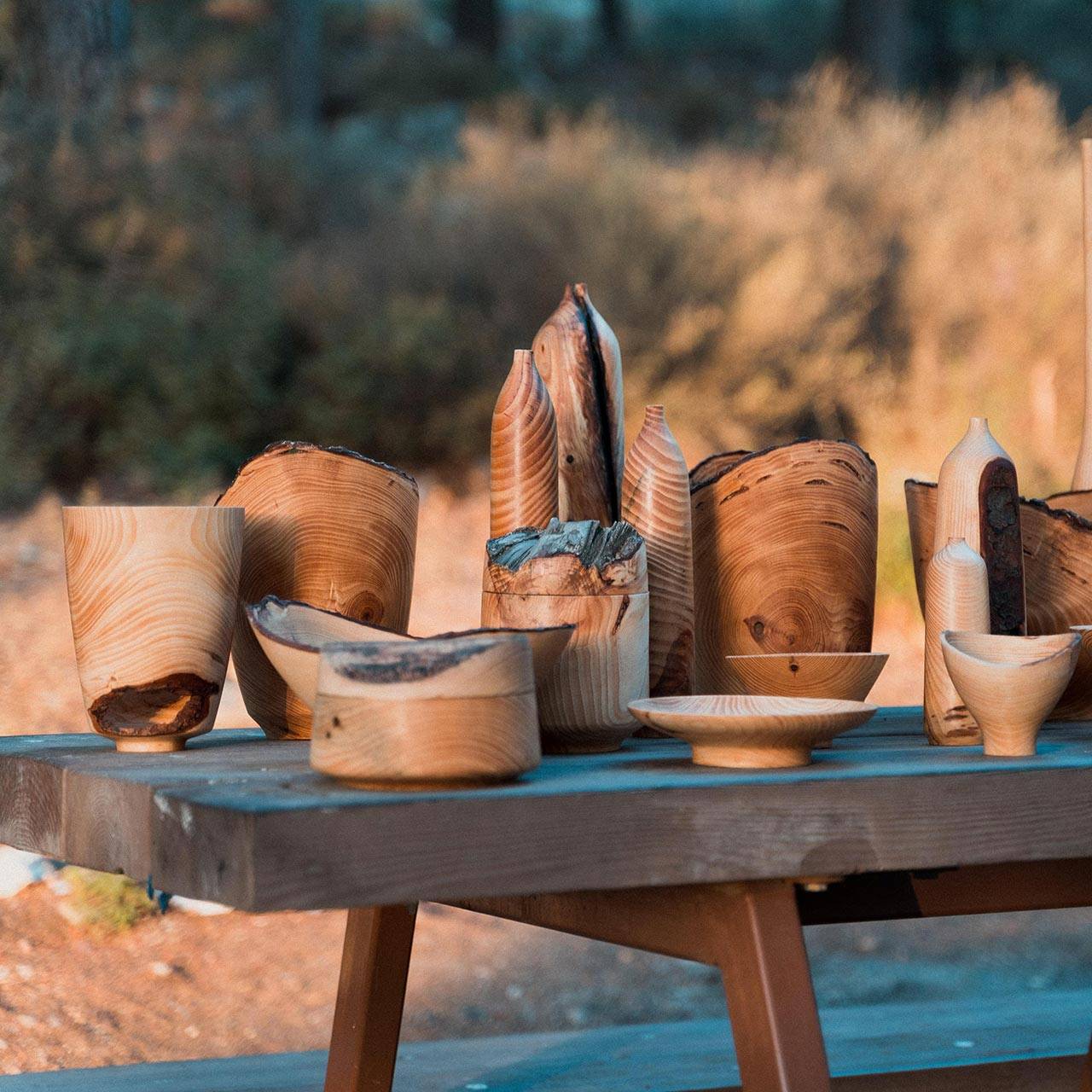 צילום: נעם דבל