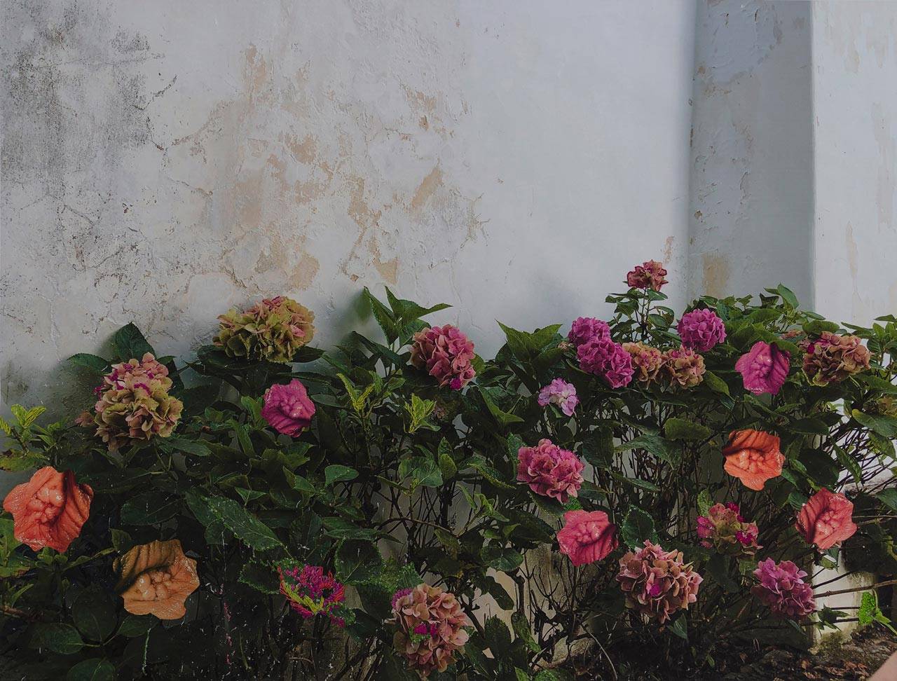 רויטל ארבל. צילומים: מ״ל