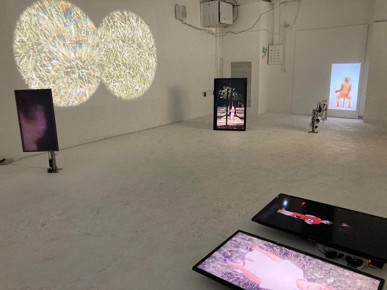 עידו הגין | דיאופטר. צילומים: מ״ל