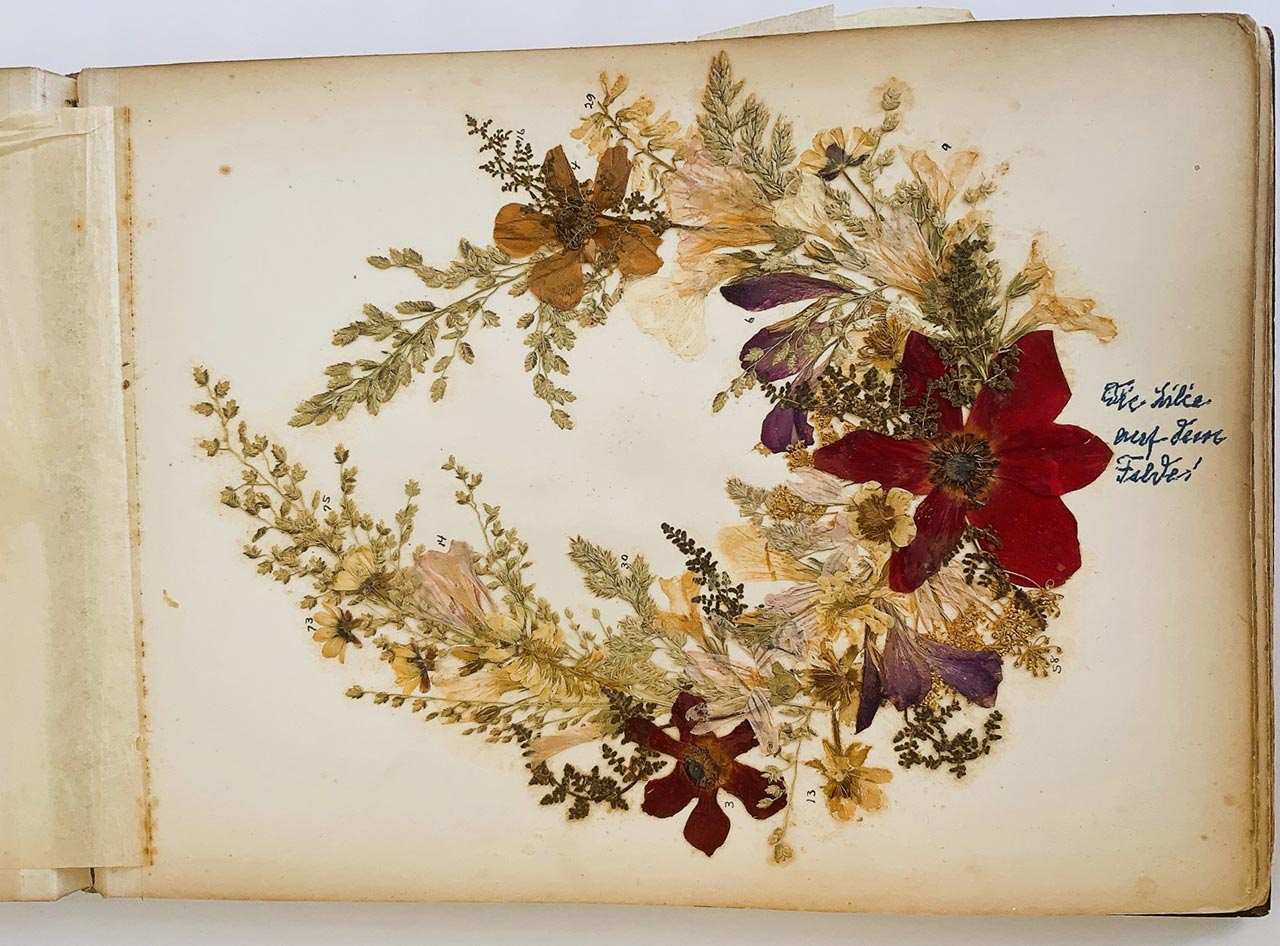 אלבום פרחים ותצלומים של ארץ הקודש, 1907. צילום: אוסף בוקי בועז לצילום