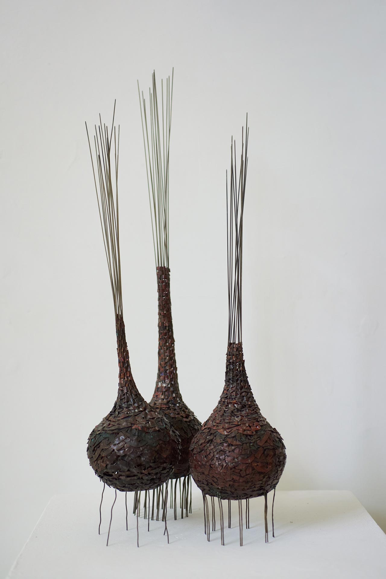 שיר ציון ברטל