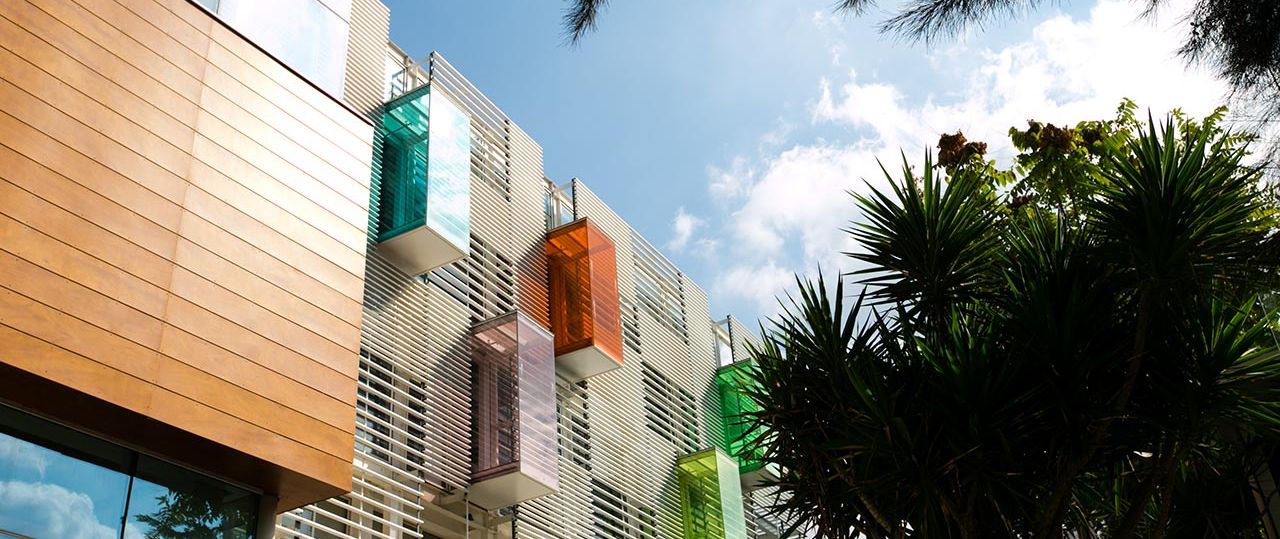 שנקר. צילום: אחיקם בן יוסף