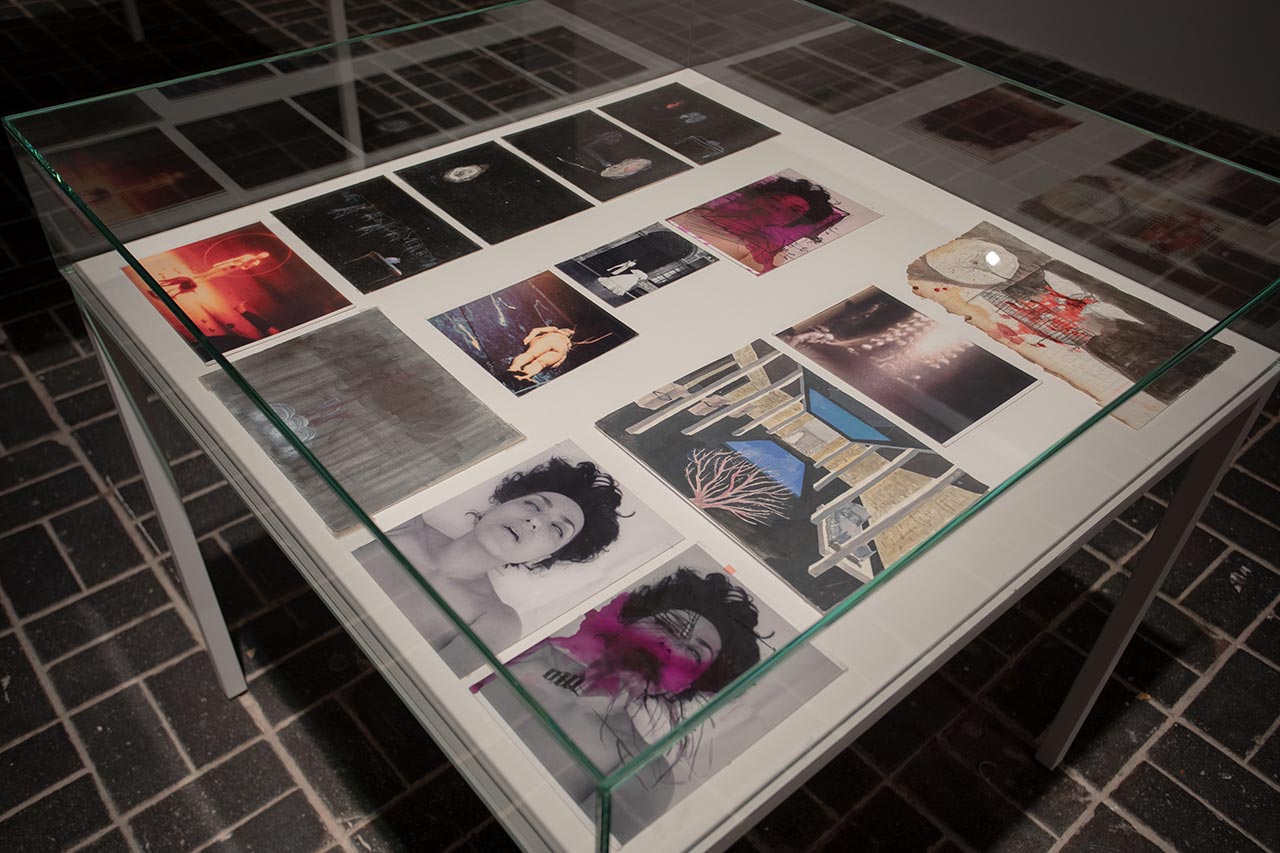 אמל קנווי, Silence of Sheep. צילום: לאורה פיוריו