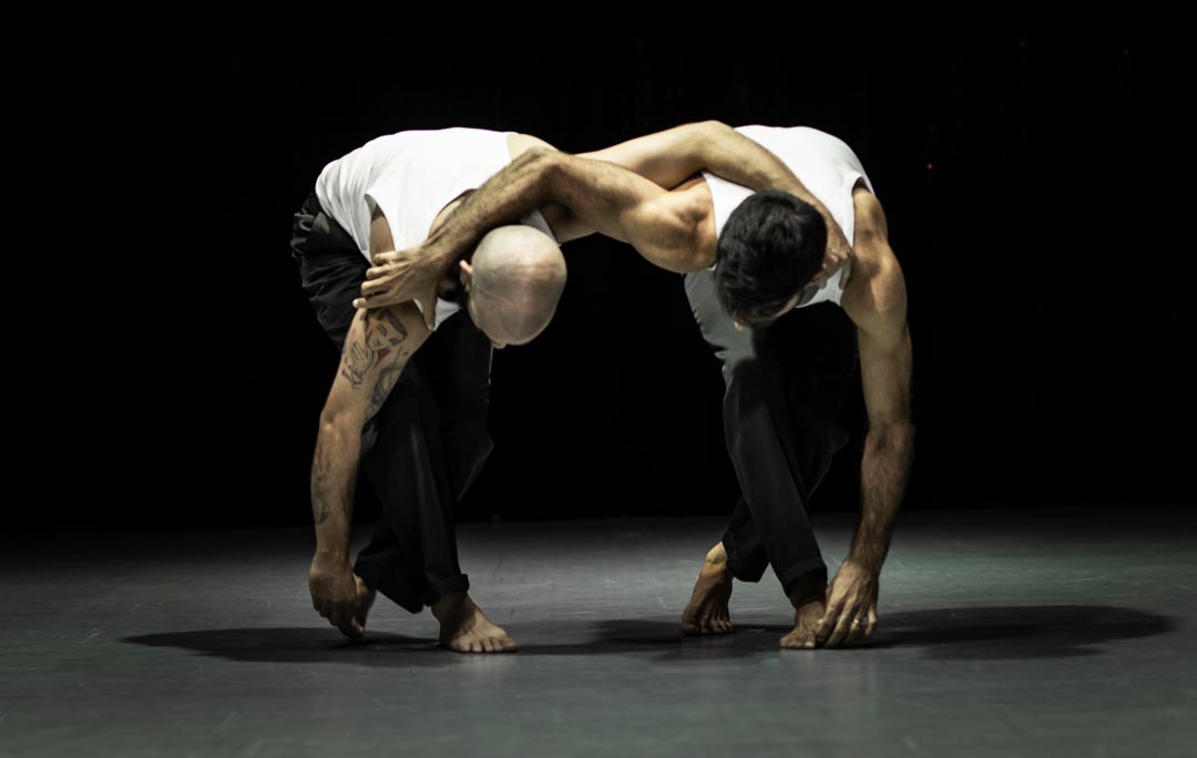 רון כהן ואלי פולירוק חדד