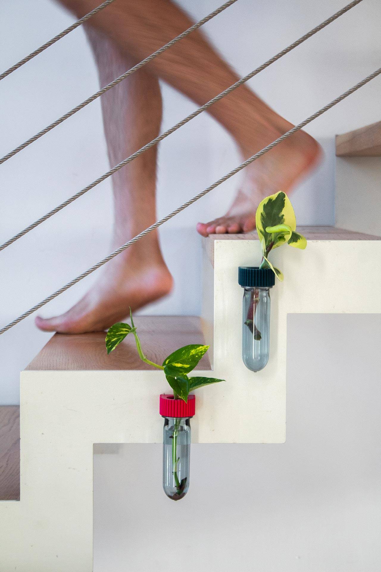 האגרטלים המגנטים של Roota. צילומים: מ״ל