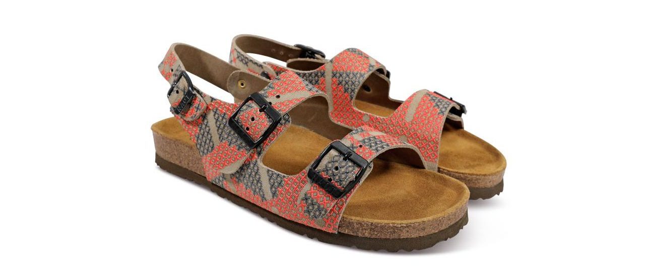 טבע נאות וקורנית. צילומים: רן הלל