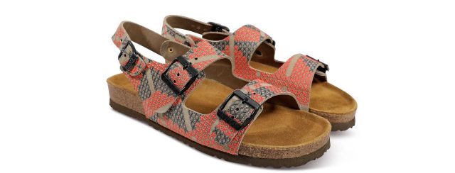 טבע נאות וקורנית. צילומים: רן הלל