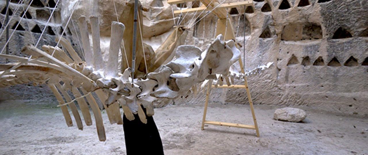 עדן אורבך עפרת, פרויקט מליסה