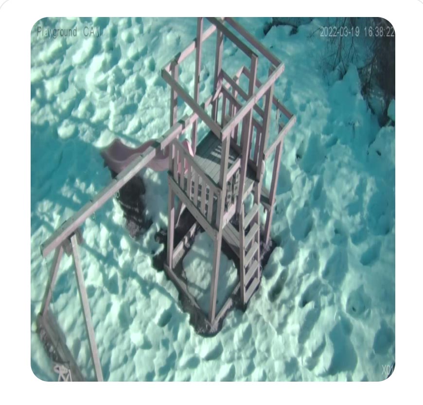 ברוניצי, רוסיה