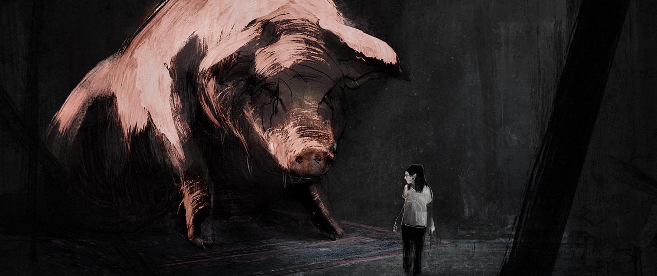 טל קנטור, מכתב לחזיר