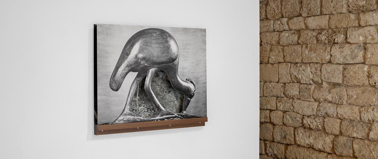 רמי מימון, ציפורים ליליות בגלריה אלמסן. צילומי הצבה: טל ניסים