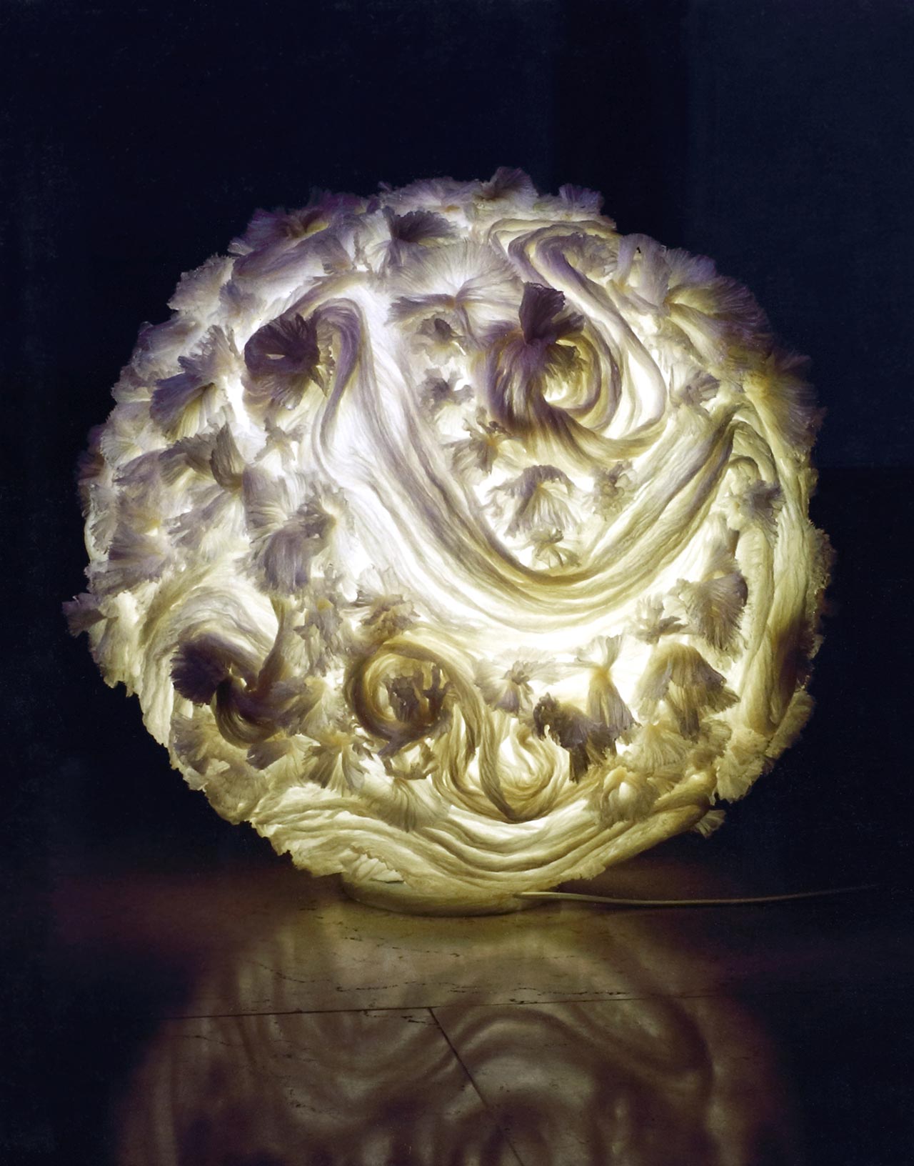 צילום: בן לם