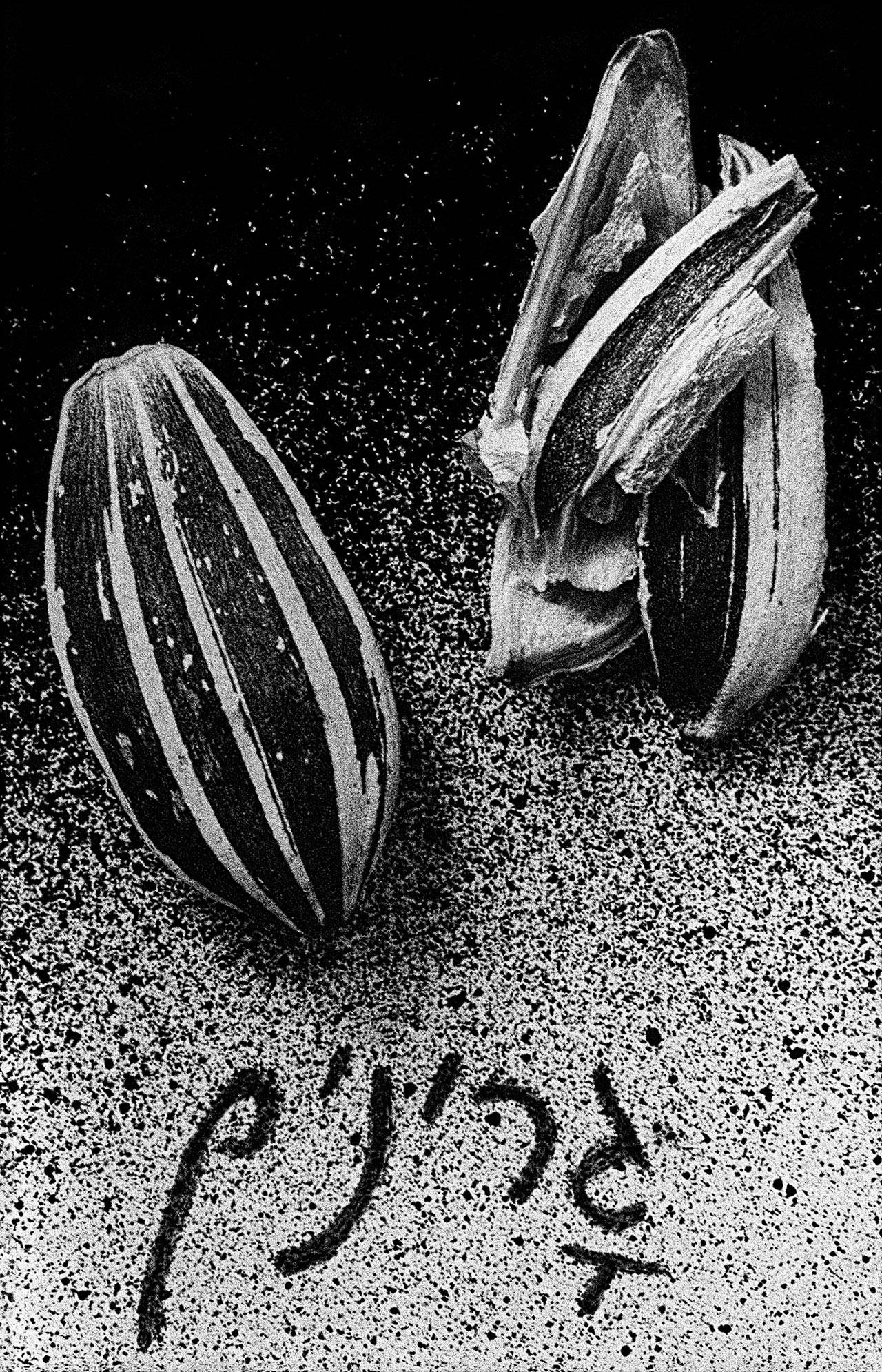 גלויות מישראל