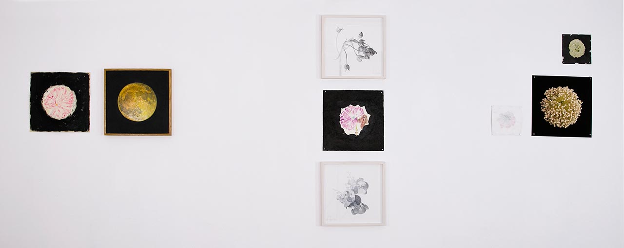 שלומי חגי ומיקי צדיק