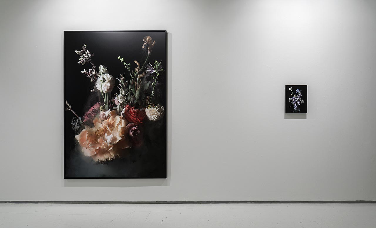 גלריה נגא. צילומים: אלעד שריג