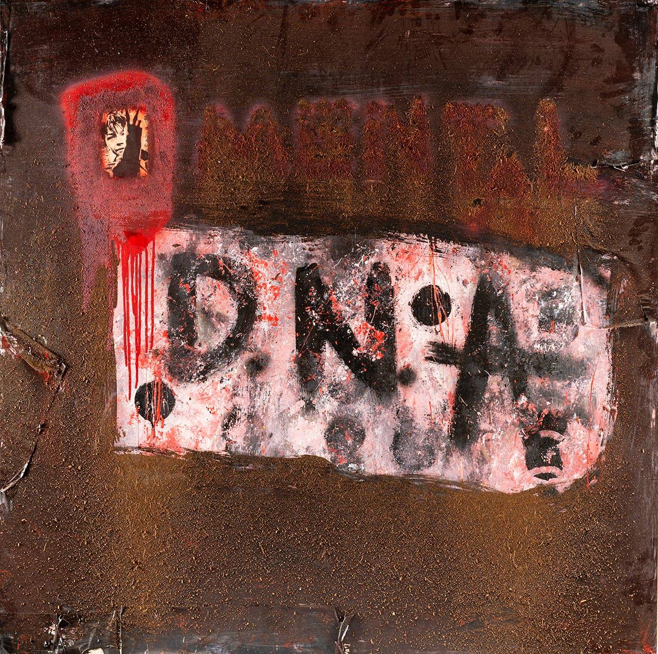 mental DNA Photography. צילומי עבודות: טל ברדק