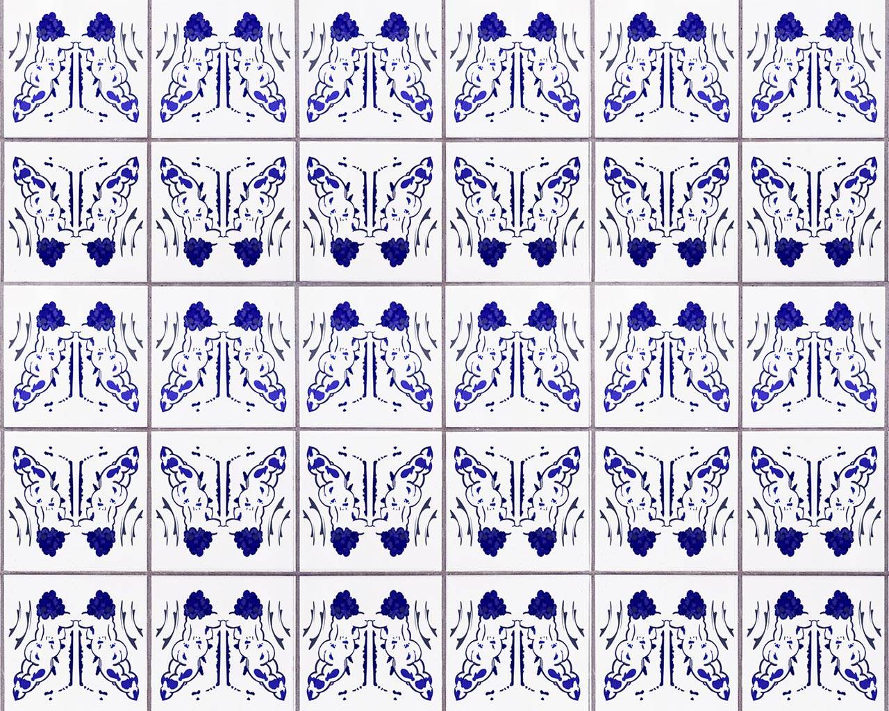 זוהר ברנדס, pattern of fat