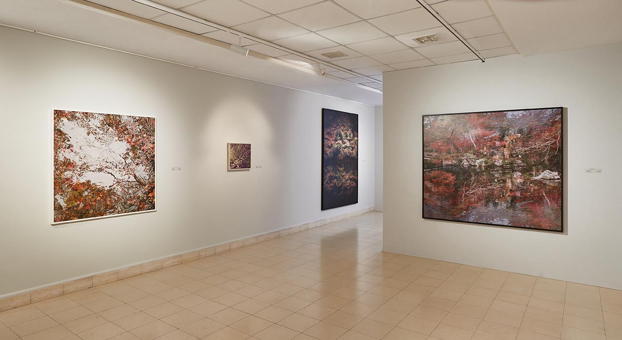 מוזיאון וילפריד ישראל. צילומים: דימה ולרשטיין