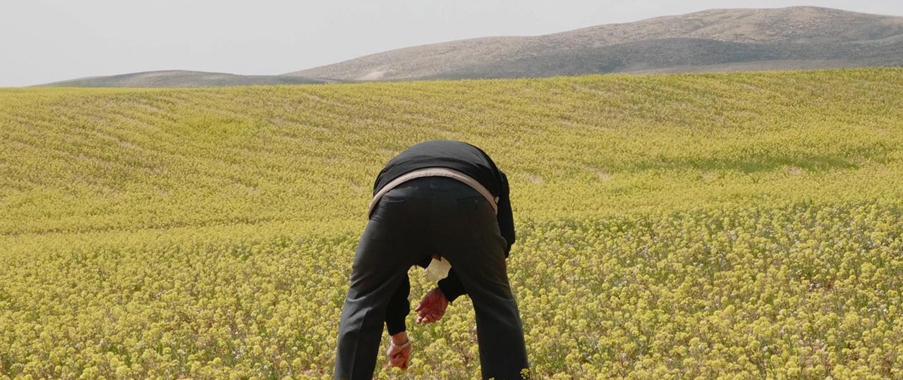 סשה טמרין, חום ימים. מתוך נשיקת שמש, המרכז לאמנות עכשווית ערד