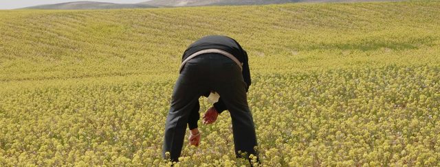 סשה טמרין, חום ימים. מתוך נשיקת שמש, המרכז לאמנות עכשווית ערד