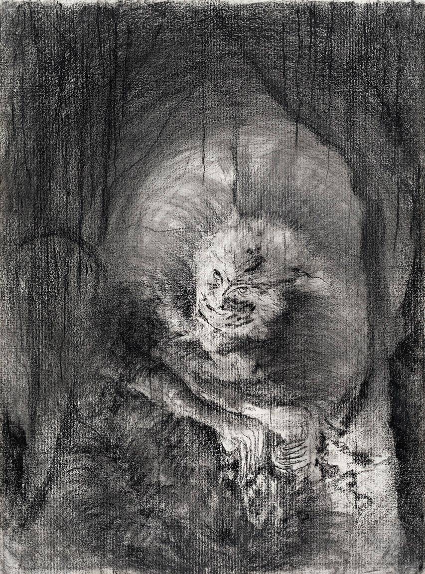 יהודית סספורטס. צילומים: אלעד שריג