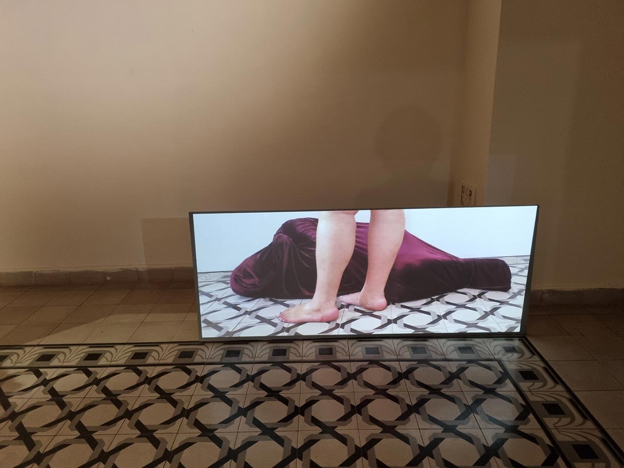 צילום: ענבל כהן חמו