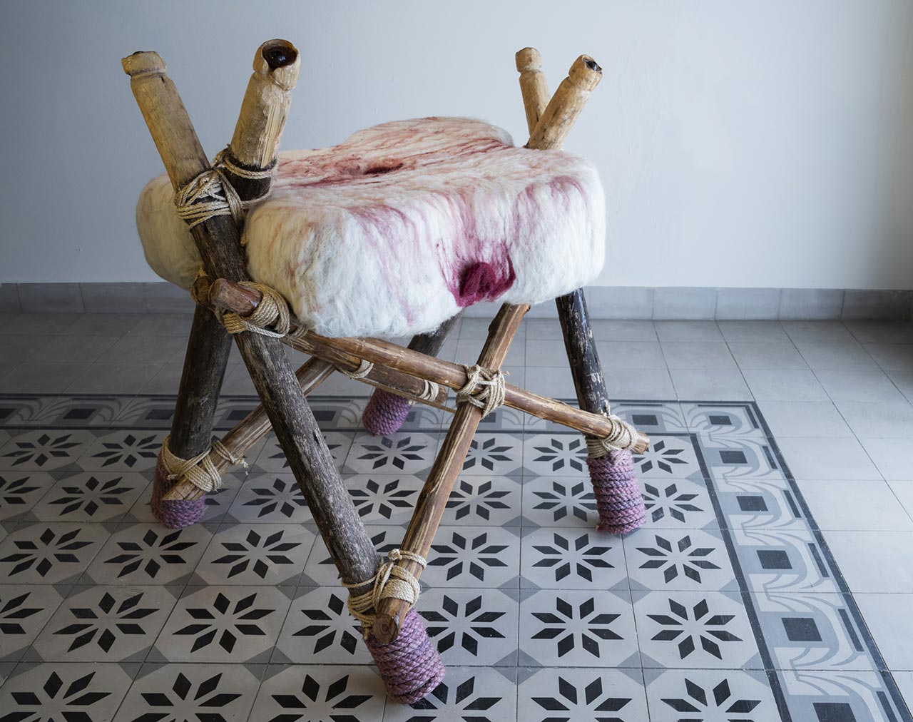 רחל (אוכף לבן). צילום: כרמית חסין