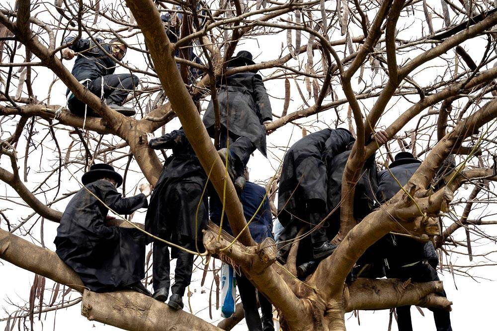 עדות מקומית 2022, תמונת השנה: צעירים חרדים צופים בהלווייתו של הרב חיים קנייבסקי. צילום: איתי רון