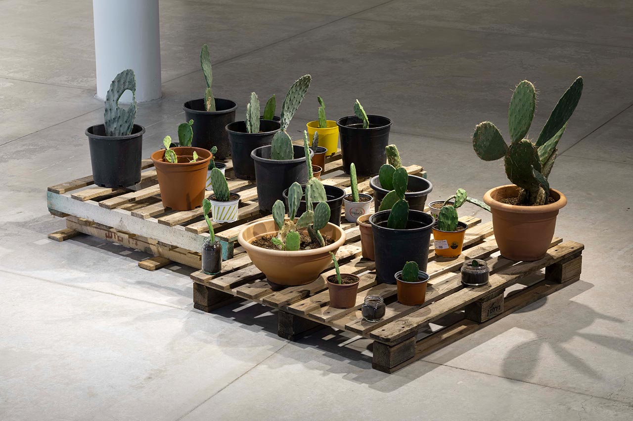 פאולה עליון ונטלי קוסקי בגלריה בגליל. צילום: טל ניסים