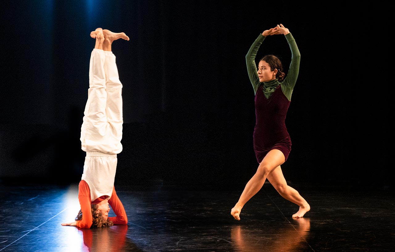 אריאל פרידמן ושהד גברין