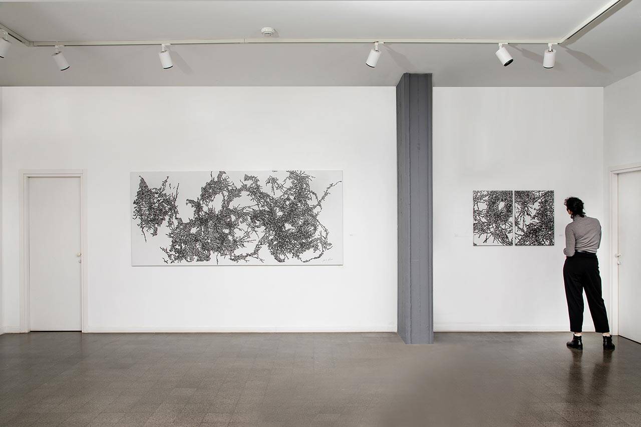 דניאלה שיינמן. צילומים: רן ארדה