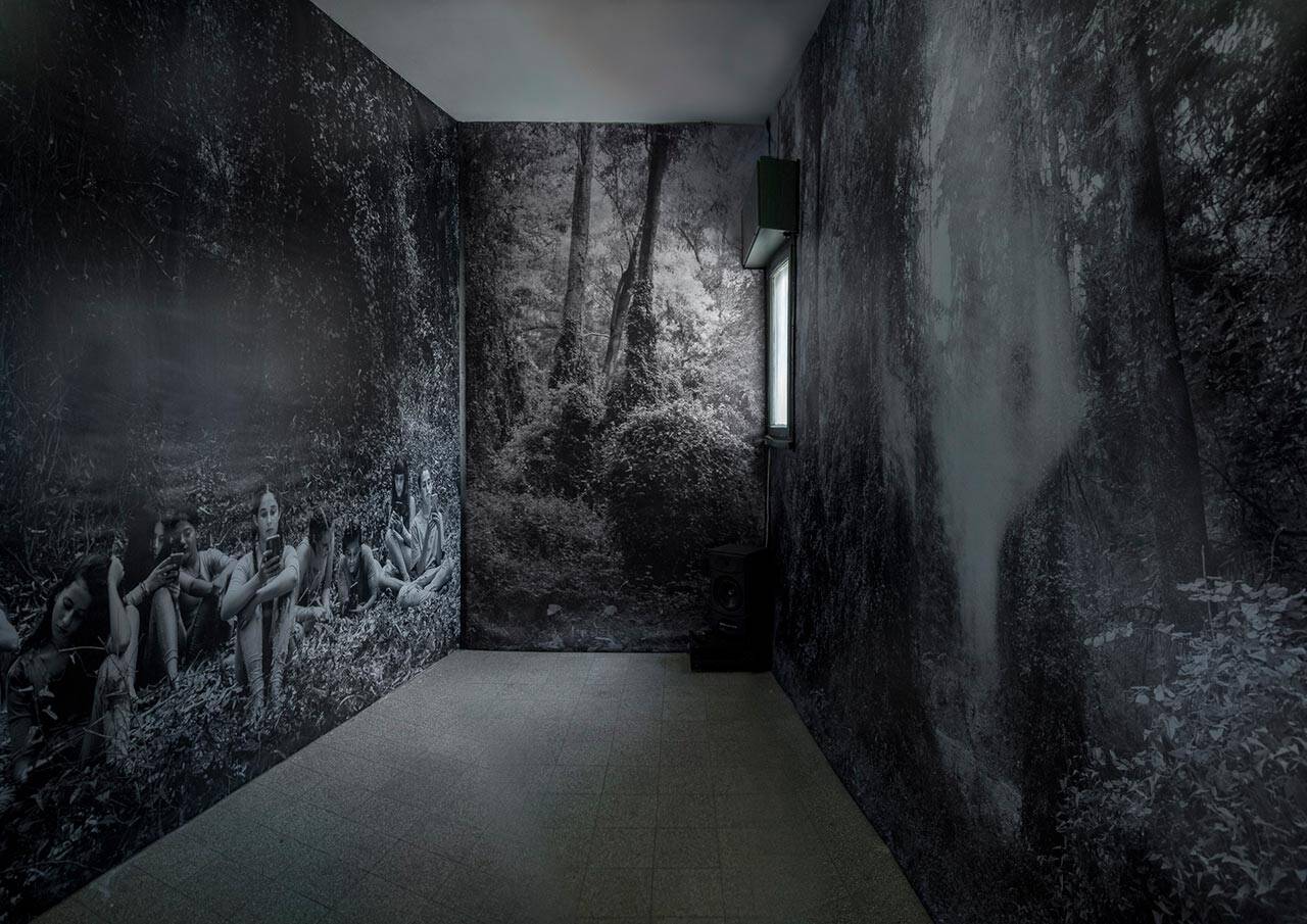 איתי בר יוסף וגל דהן, גחליליות