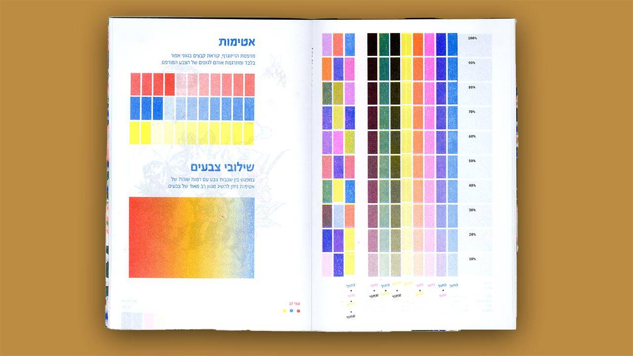 אלון עמנואל ואסף ארד, מדריך הריזו העברי הראשון. צילומים: אמיתי חיון