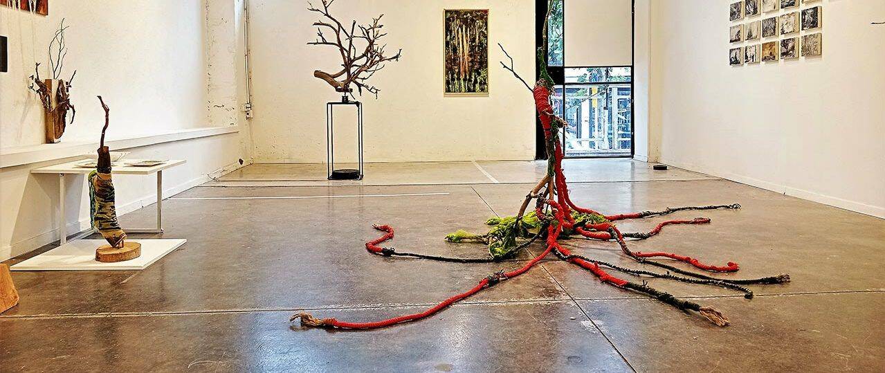 אסתי דרורי־חיות, ״סבך, Brushwood״. צילומים: מ״ל