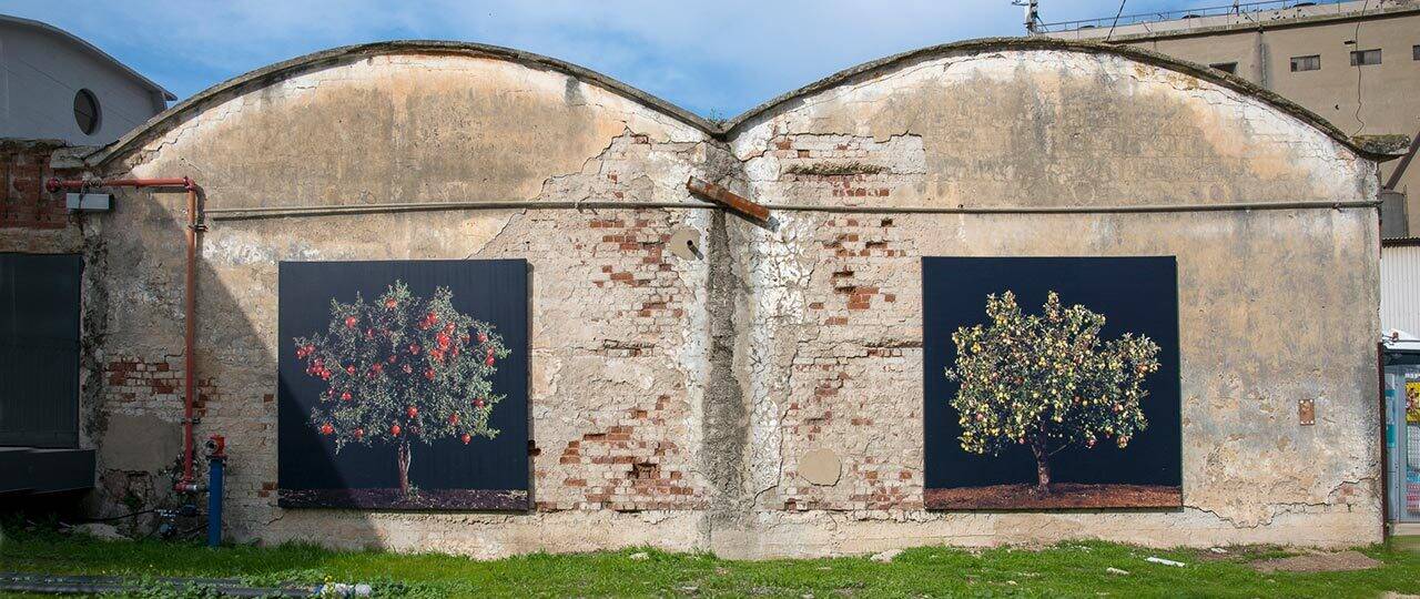 טל שוחט, תפוח ורימון על קירות בית הקירור הנטוש. צילומים: יגאל פרדו