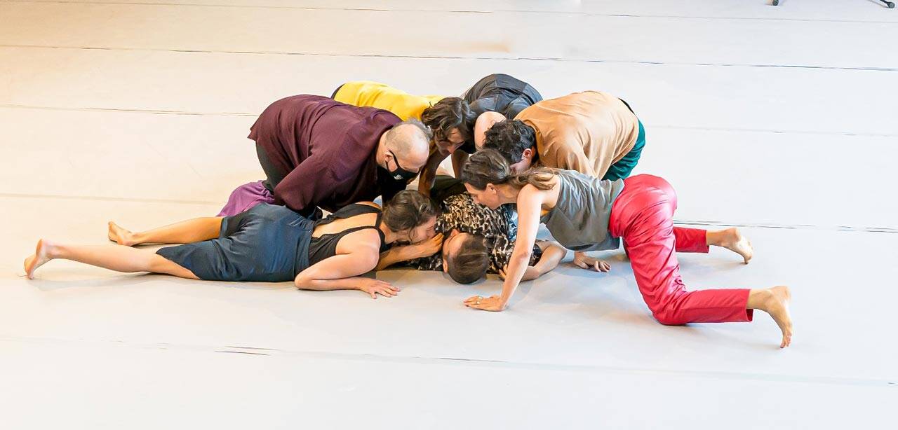 Shape on us. צילום: יואל לוי