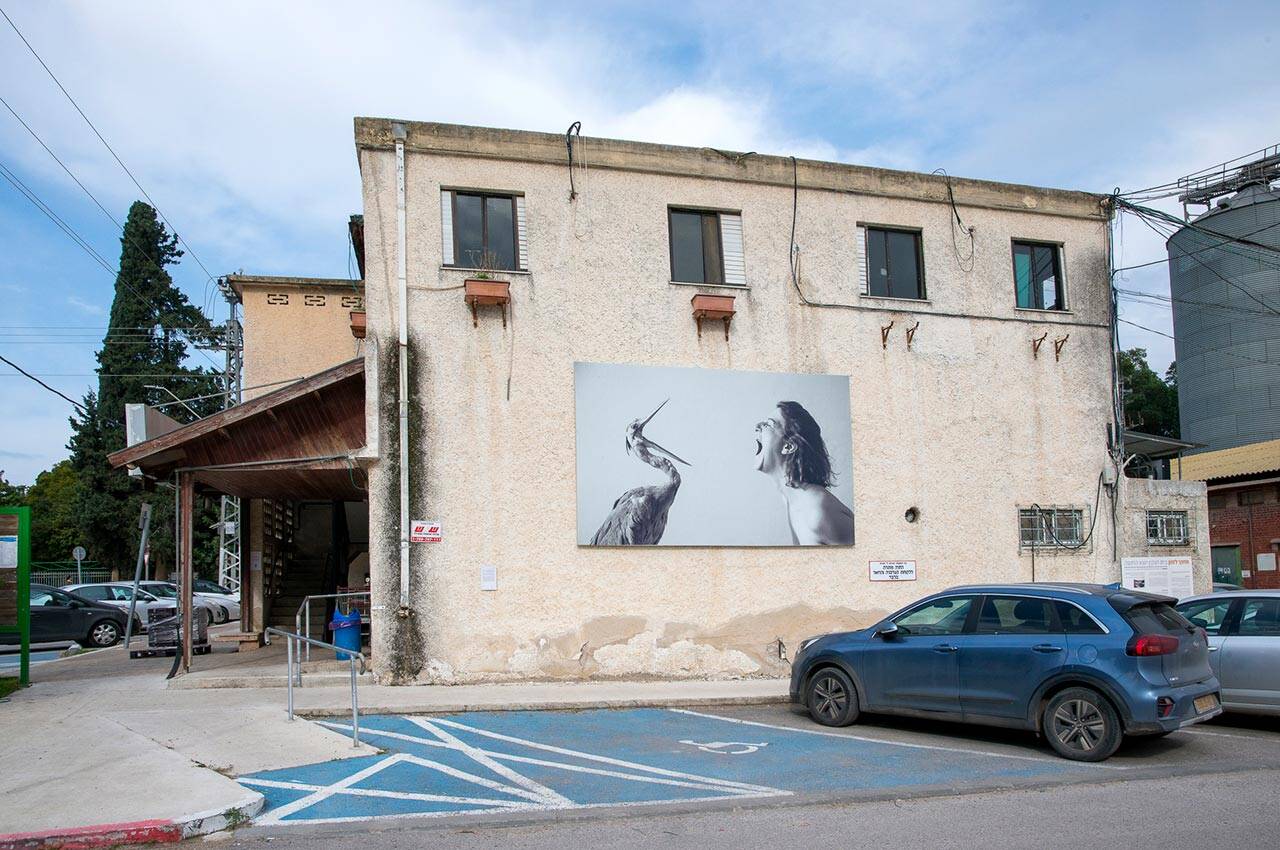 מיכל בראור, שיח חרשים (מתוך יומן הפעולות), על קיר הצרכנייה