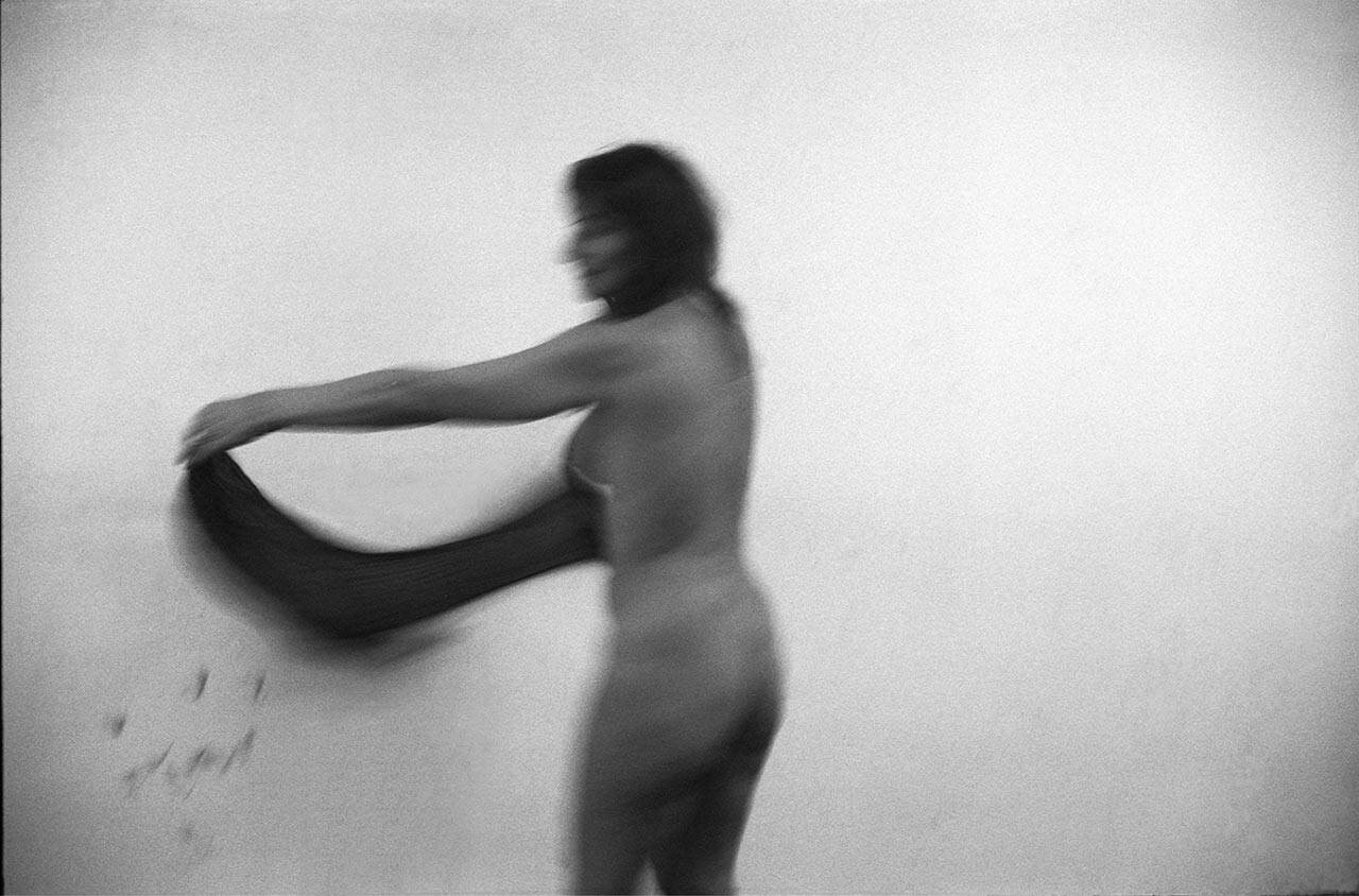 סיגל פרימור