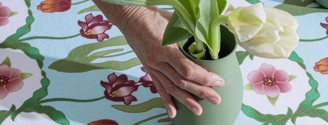 NU, נורית קריב. צילום: דן פרץ