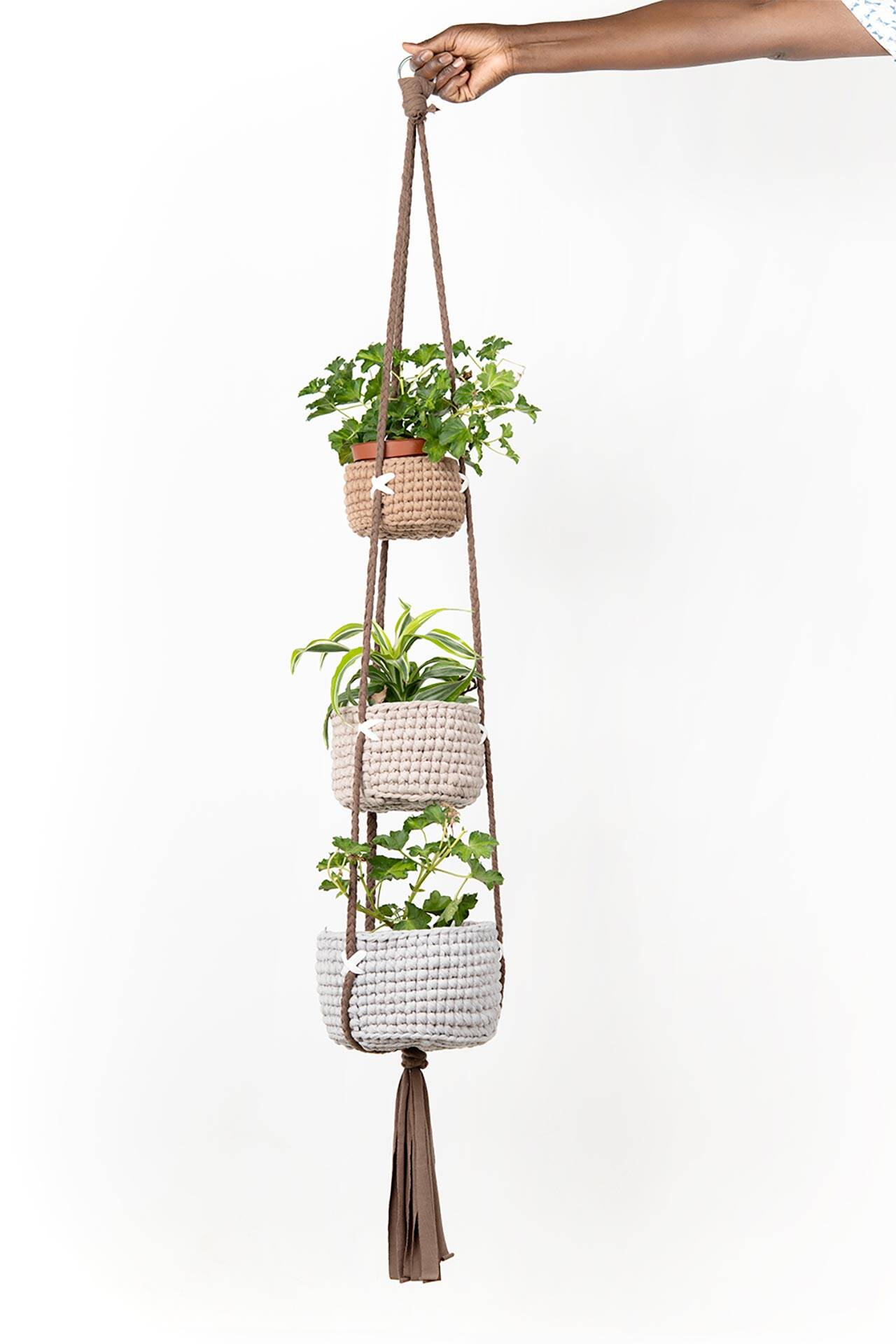 קוצ׳ינטה. צילום: איה וינד