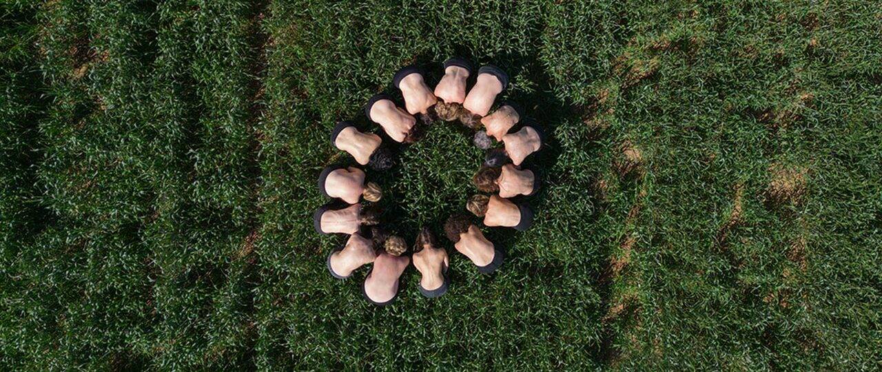 שגית זלוף נמיר, את תלכי בשדה, 2023