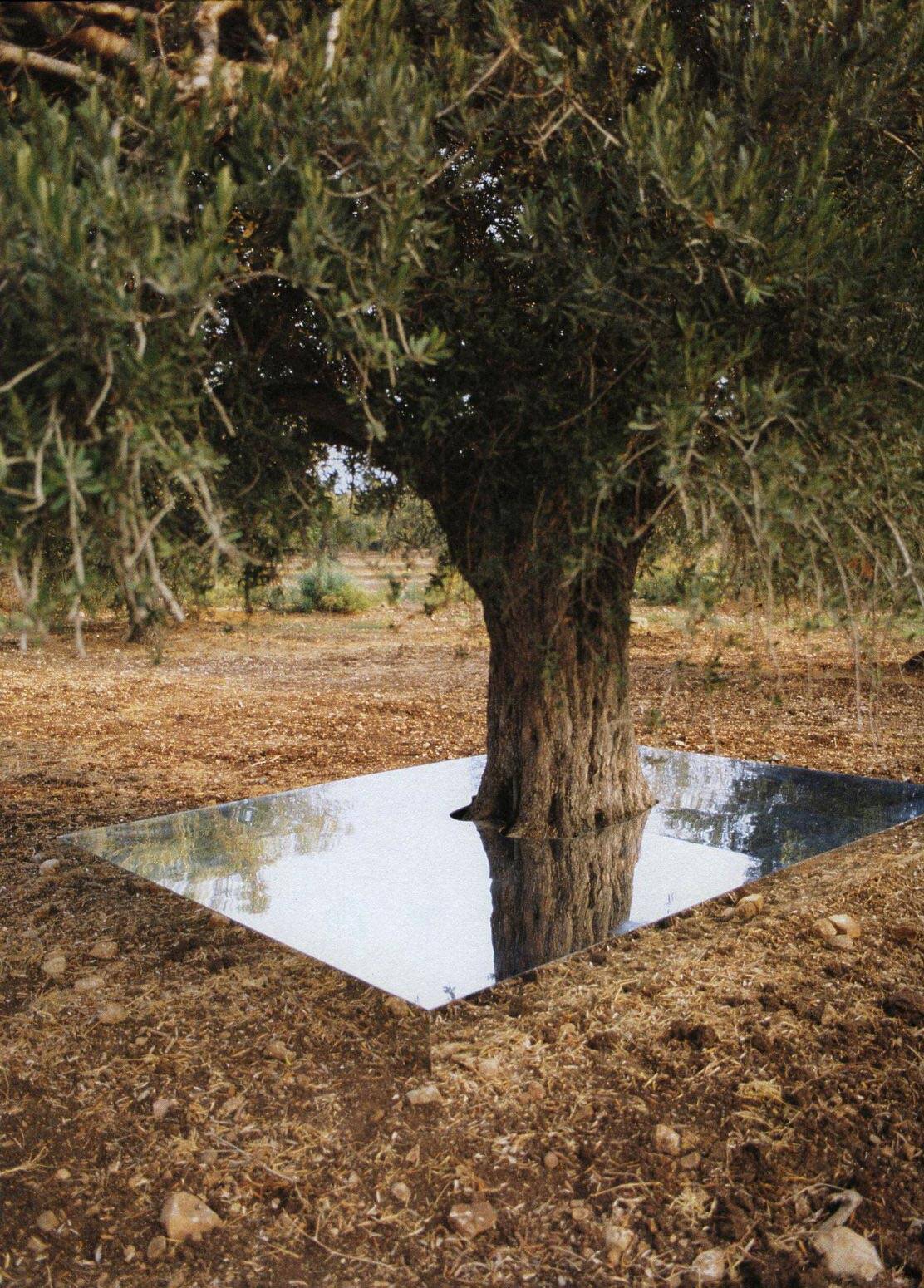 דני קרוון, אחד שווה שניים, 1994. צילום: סטודיו דני קרוון