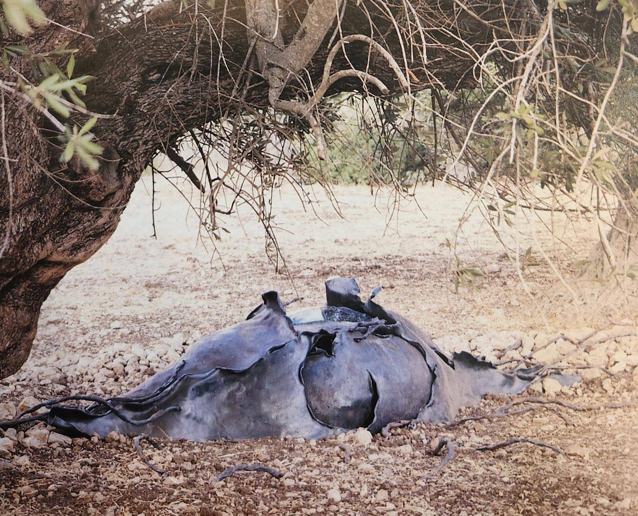 נובויה ימגוצי ודורון שפירא, רסיס בעין השקטה, 1997